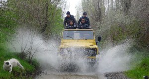 Jeep Safari